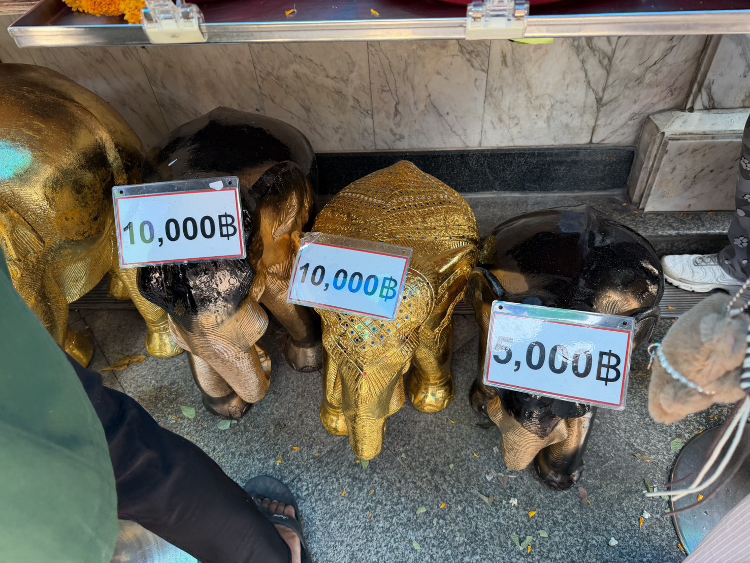 還願用的金象，這一排大約 5,000～10,000 泰銖。
